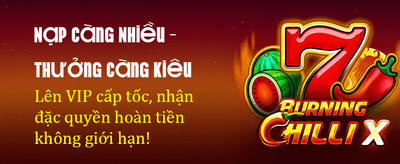 Online Casino